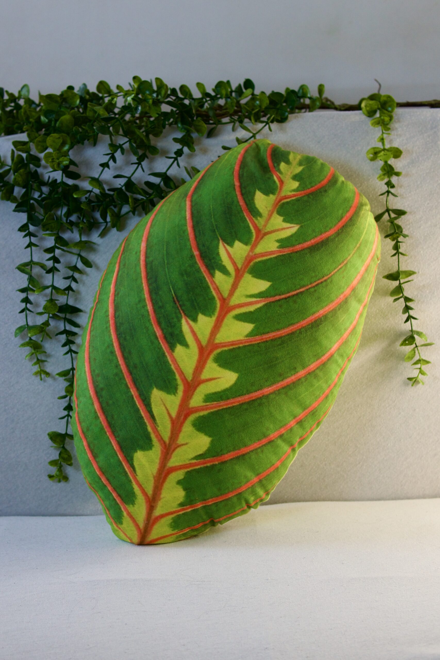 Poduszka - Maranta Fascinator Tricolor