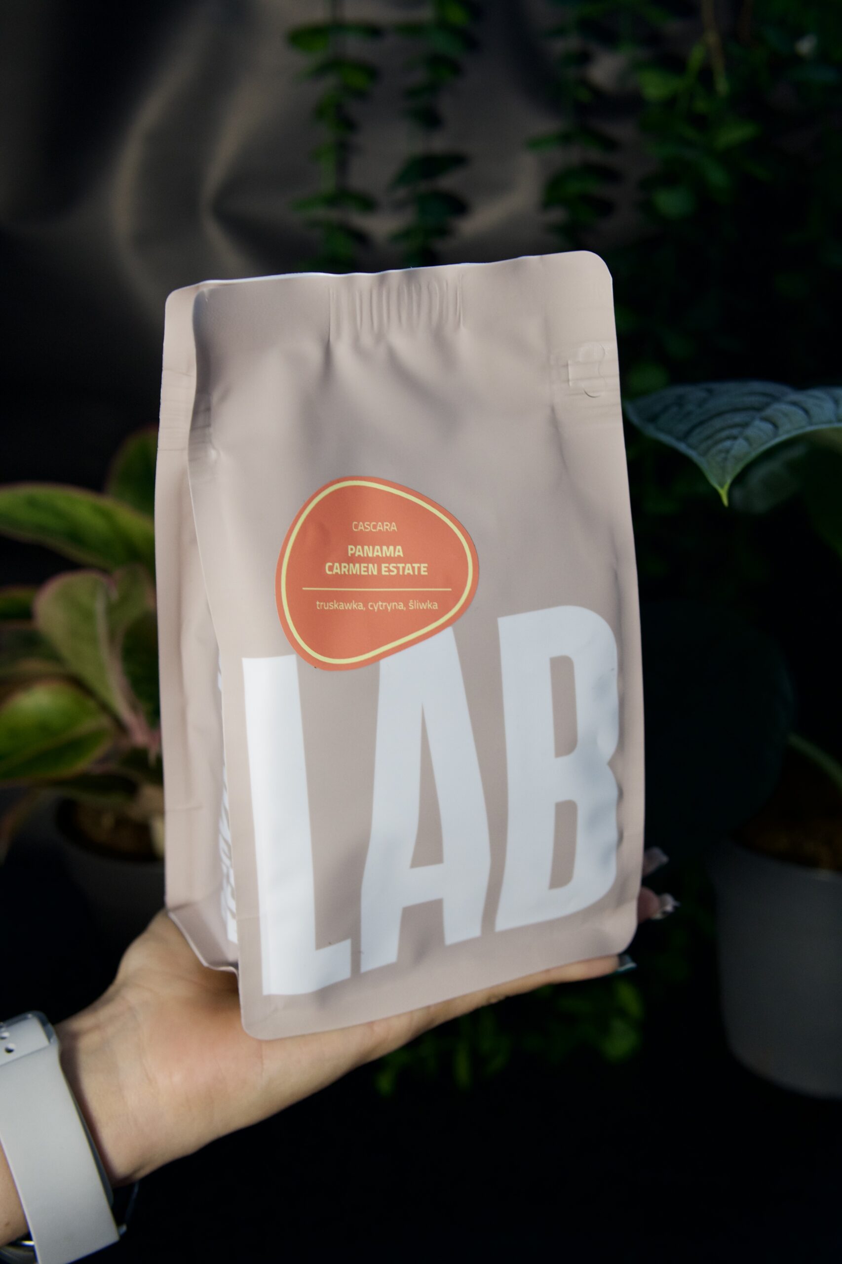 Coffeelab &ndash; Cascara Carmen Estate
