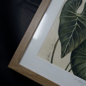 obraz botaniczny handmade Zielona Głębia Antresola