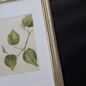 obraz botaniczny handmade Epipremnum Antresola