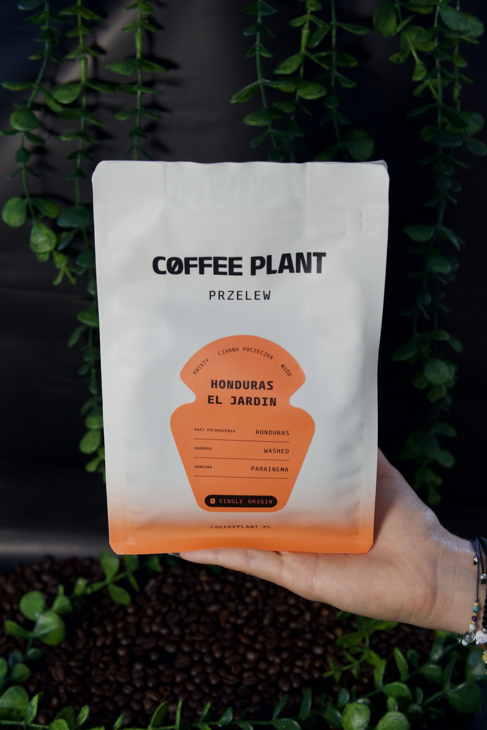 alt=Coffee Plant Honduras El Jardin