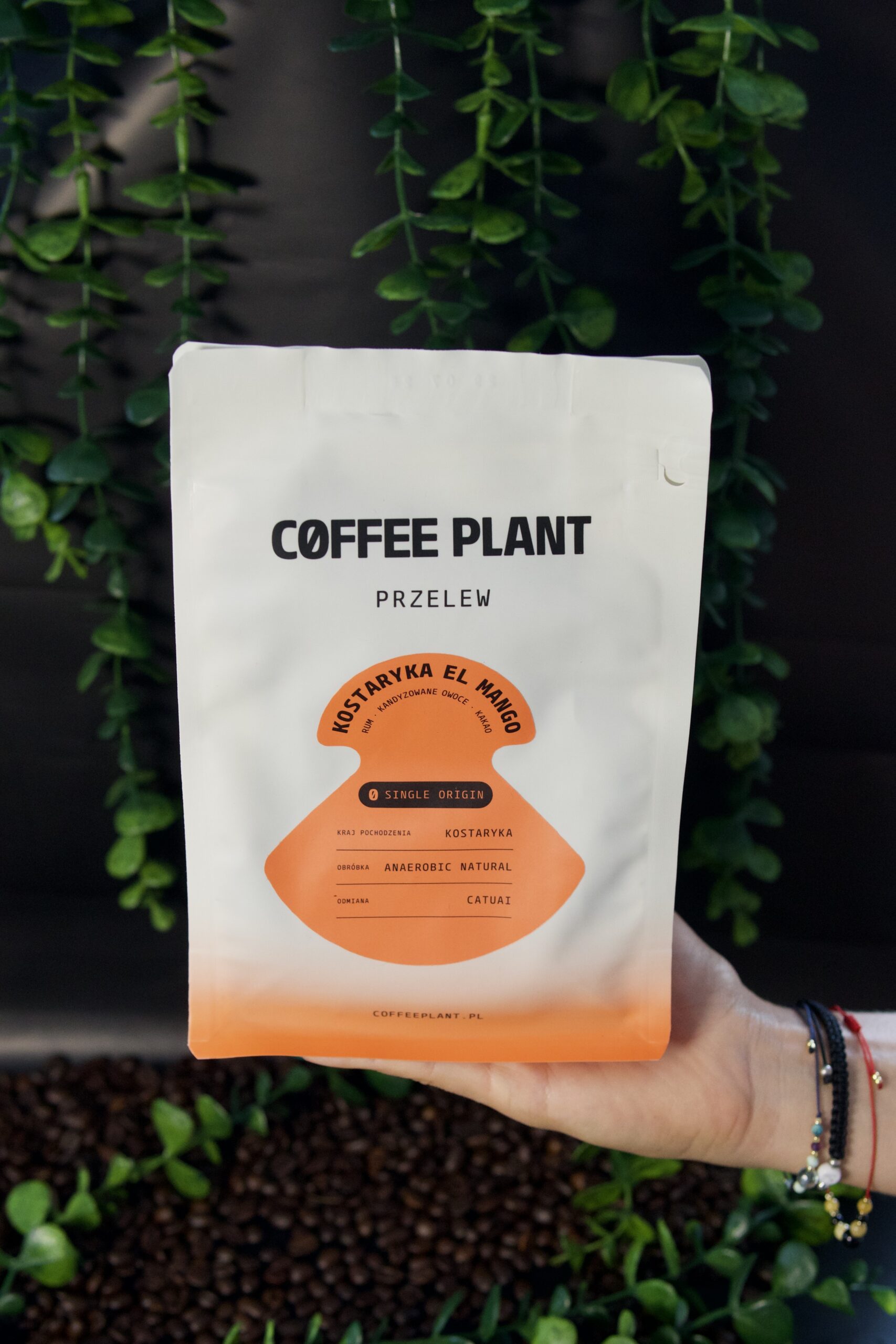 alt=Coffee Plant - Kostaryka El Mango Anearobic