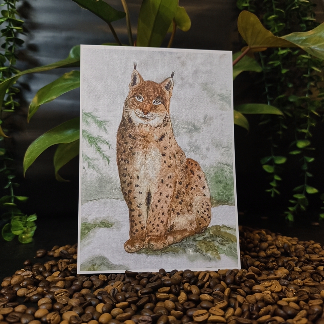 Plakat artystyczny A5 &bdquo;Ryś&rdquo; &ndash; MaviPoppy Art