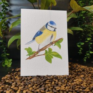 Plakat artystyczny A5 „Modraszka” – MaviPoppy Art